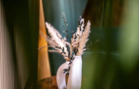 Pflanzen Ambiente im Salon
